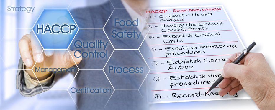כתיבת תוכניות HACCP